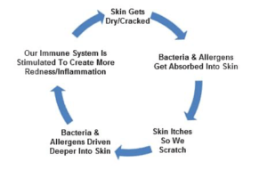 Dry Skin Diagram