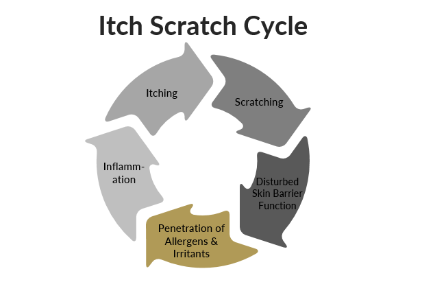 Eczema Itch Scratch Cycle