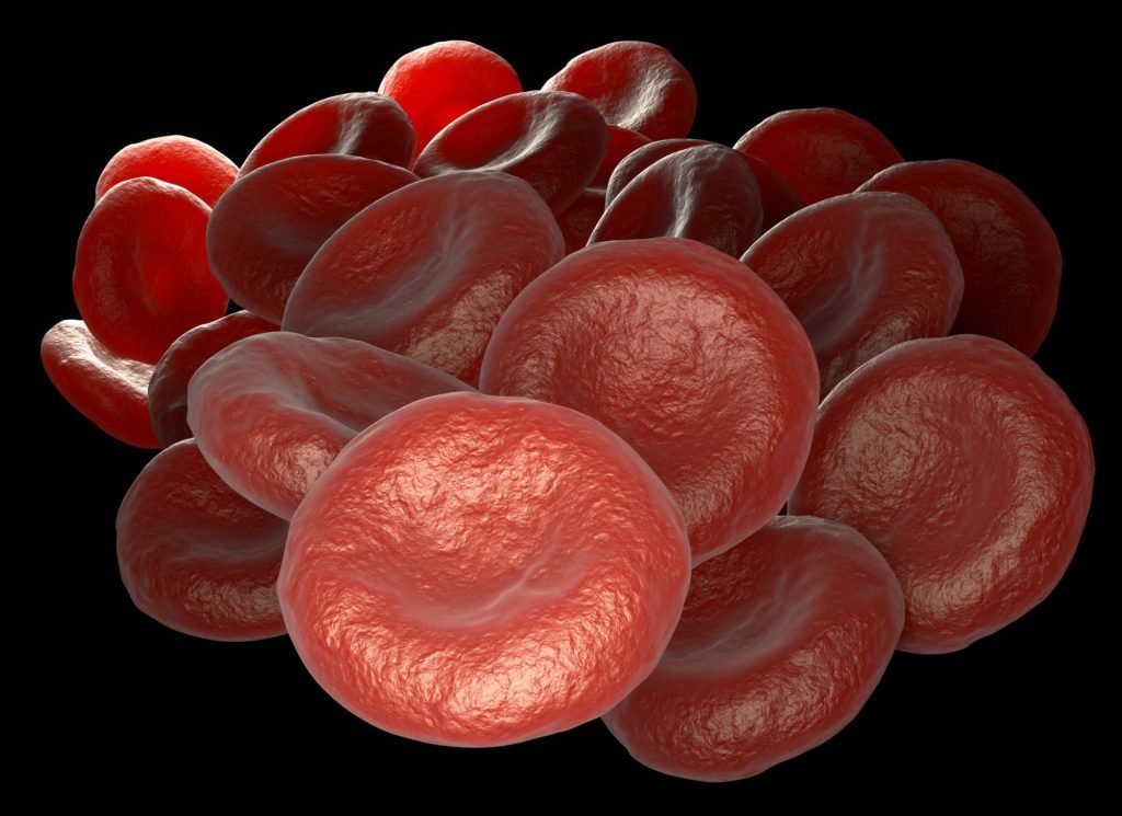 Bunch of red blood cells